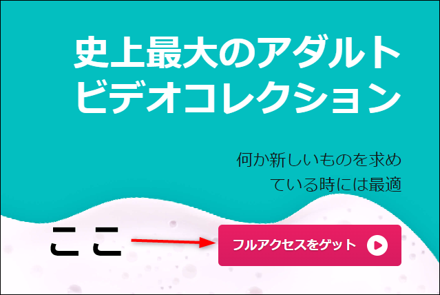 �t���A�N�Z�X���Q�b�g