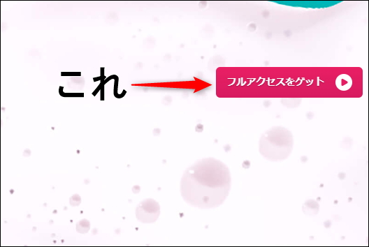 �t���A�N�Z�X���Q�b�g